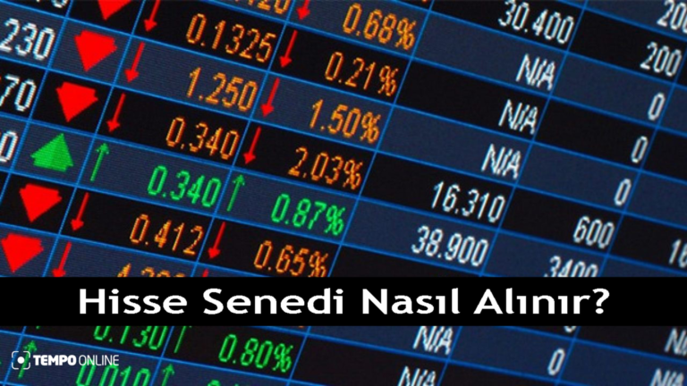 Hisse Senedi: Nasıl Alınır ve Yatırım Yapılır?