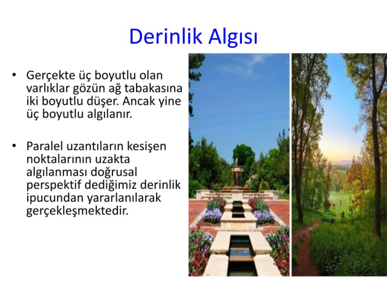 Bebeklerde Derinlik Algısı ve Yürümeye Başlama Süreci